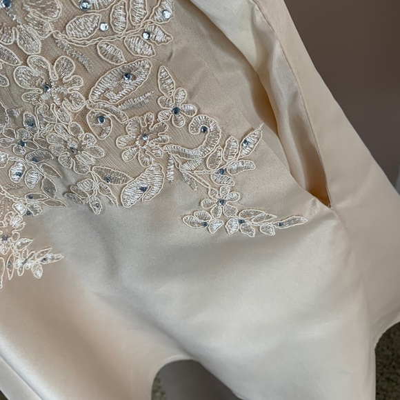 Dancing Queen Lace Crystal Princess Neckline Gown - Picture 13 of 16